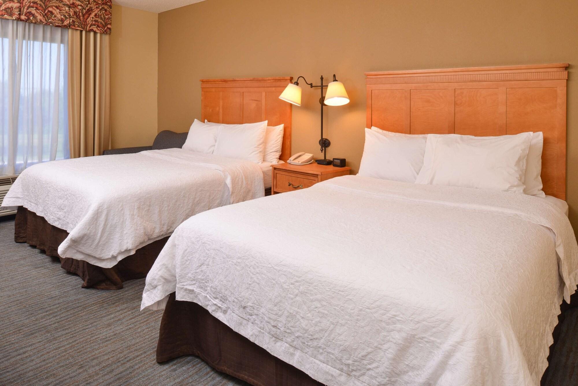 Seffner Hampton Inn & Suites Tampa East Casino Area מראה חיצוני תמונה