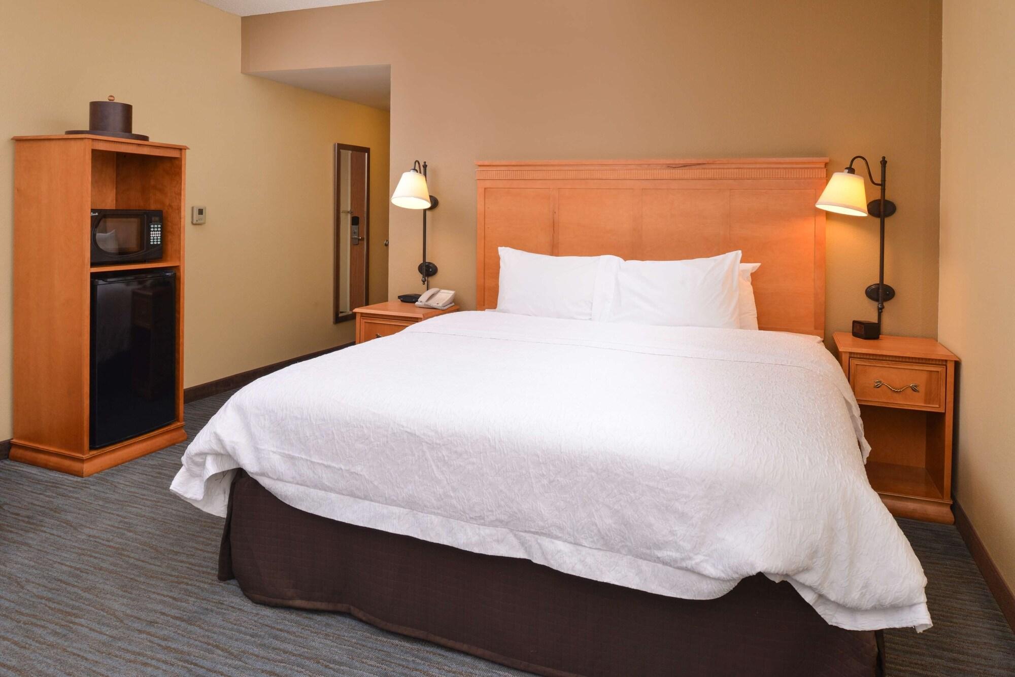 Seffner Hampton Inn & Suites Tampa East Casino Area מראה חיצוני תמונה