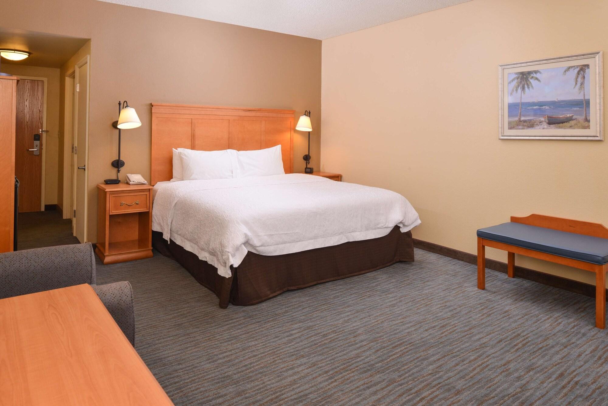 Seffner Hampton Inn & Suites Tampa East Casino Area מראה חיצוני תמונה